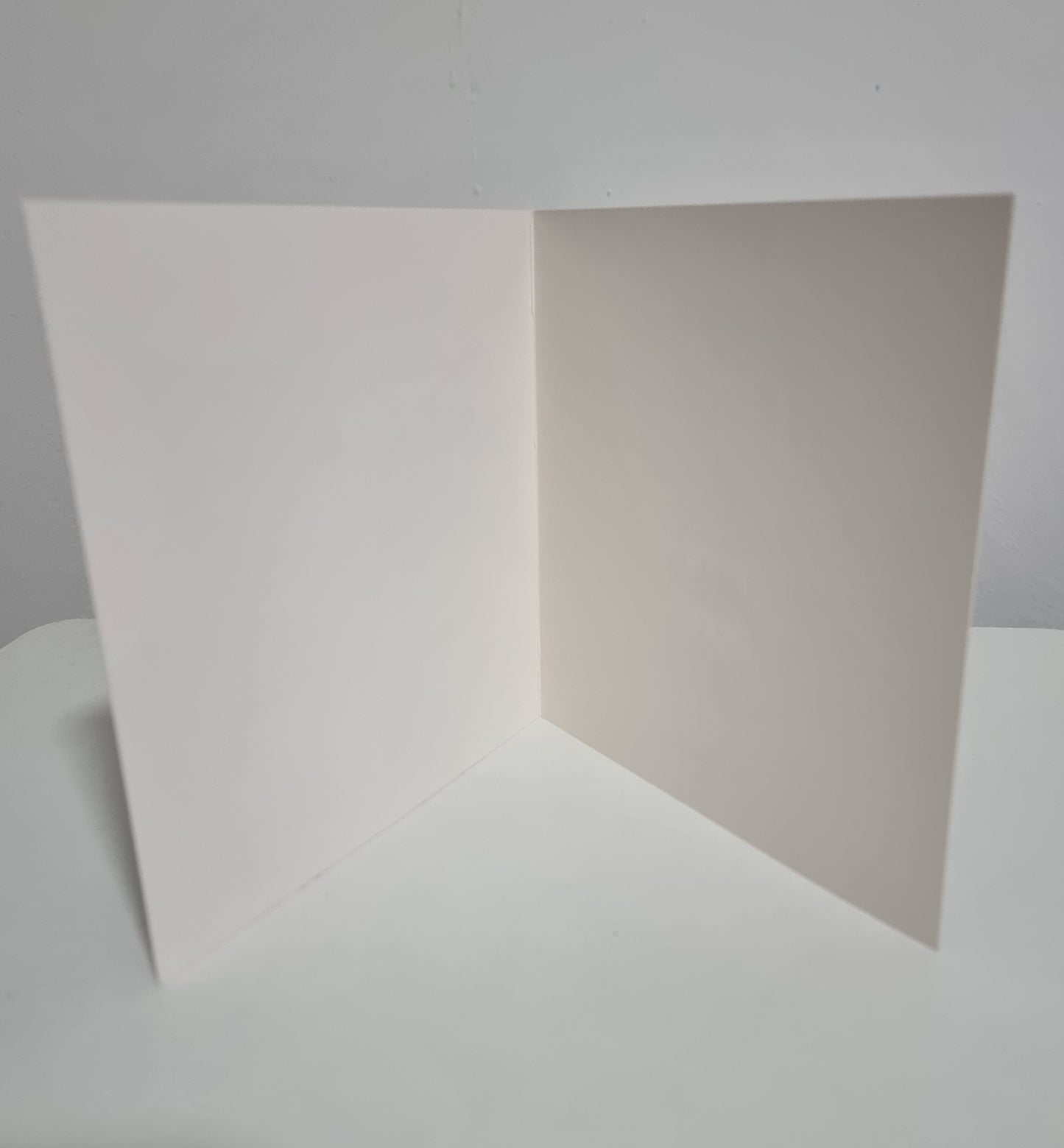 Cat Lovers Birthday Cards