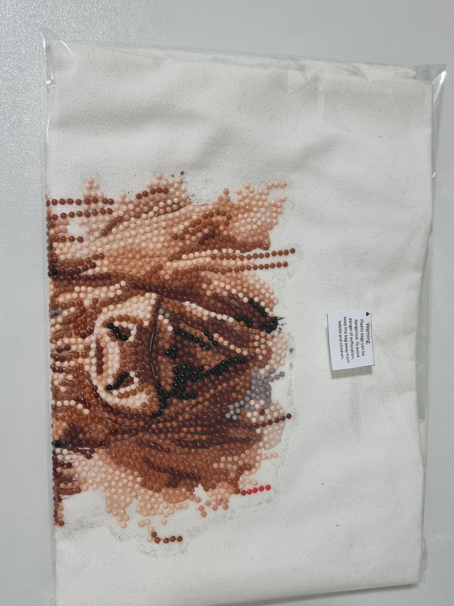 Canvas Tote bag with diamond art finish